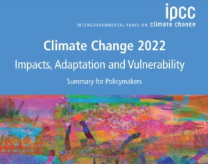 Intergovernmental Panel on Climate Change Releases New Report