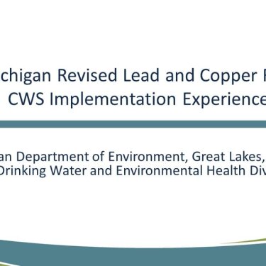 The Michigan LCR Experience: 5th Liter Sampling and Lead Service Lines
