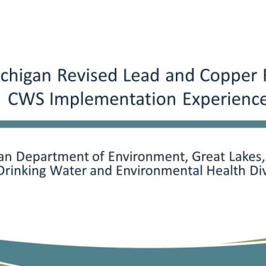 The Michigan LCR Experience: 5th Liter Sampling and Lead Service Lines